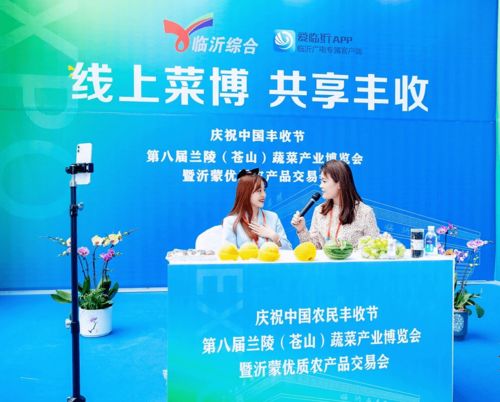 第八屆蘭陵（蒼山）蔬菜產(chǎn)業(yè)博覽會(huì)暨2020年中國(guó)·臨沂農(nóng)民豐收節(jié)盛大開幕，鴻雀信息科技助陣數(shù)字化新農(nóng)業(yè)